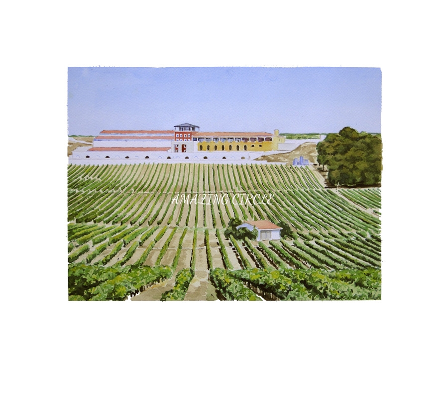 Quinta de São Mateus 2