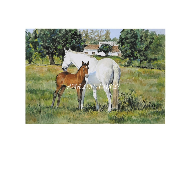 Mares with foal